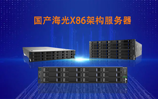 國產(chǎn)海光X86架構服務器 兼容并蓄,共創(chuàng)未來(圖1)
